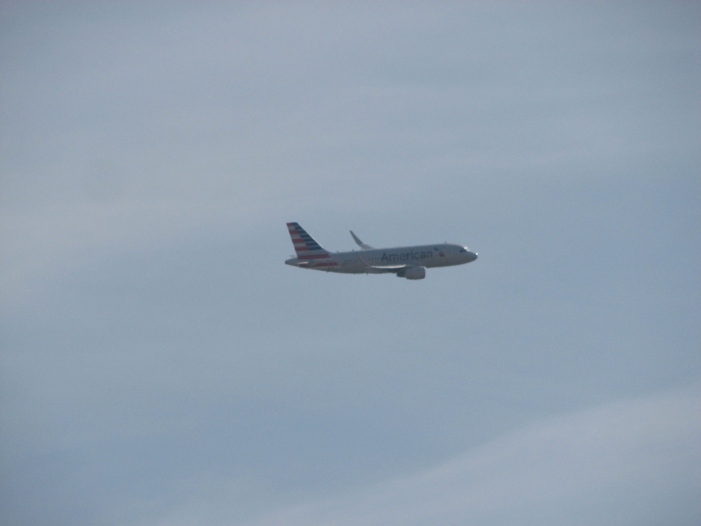 Airbus A319 (N8001N) - American Airlines flight 971 arriving from Eagle, CO