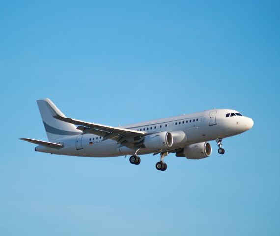 Airbus A319 (D-ALEX)