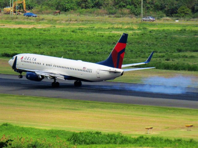 Boeing 737-800 (N382DA)