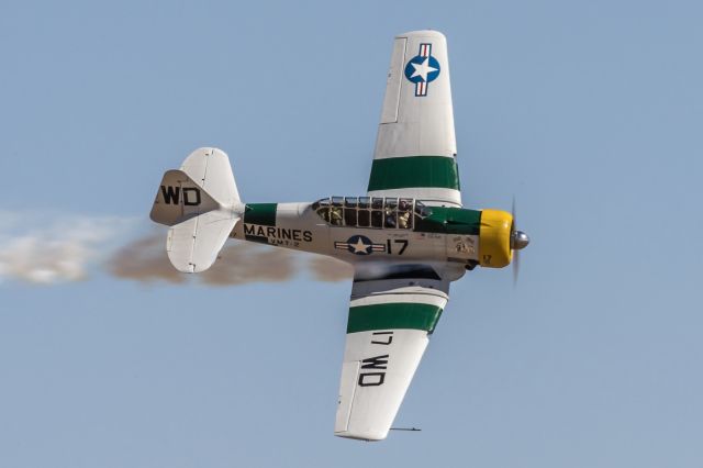 Grumman AA-5 Tiger (N1038A) - War Dog Apple Valley airshow.