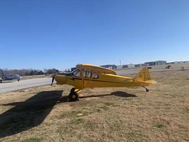 Piper L-21 Super Cub (N713WK)