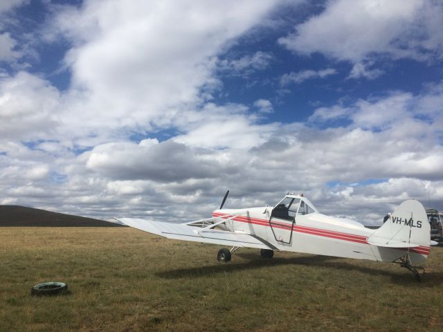 Piper PA-25 Pawnee (VH-MLS)