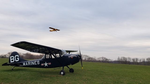 Cessna L-19 Bird Dog (N5262G) - VMO-1 marked L-19A 