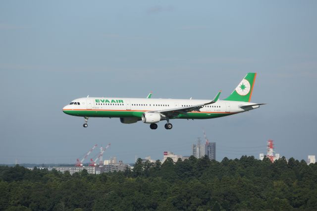 Airbus A321 (B-16210)