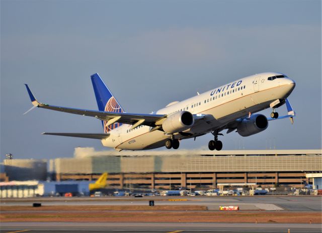 Boeing 737-800 (N77536)