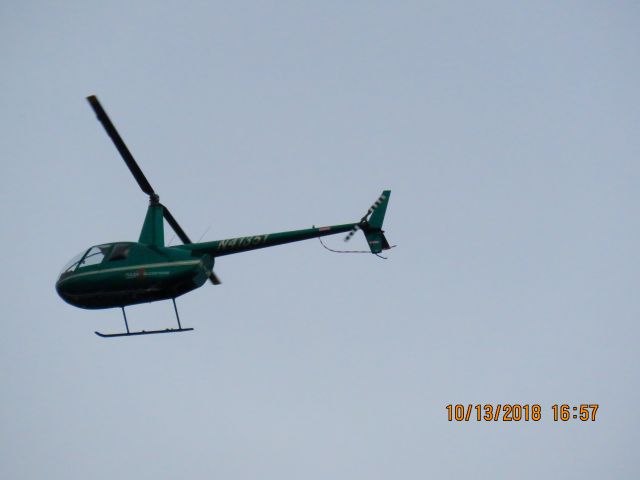 Robinson R-44 (N41351)