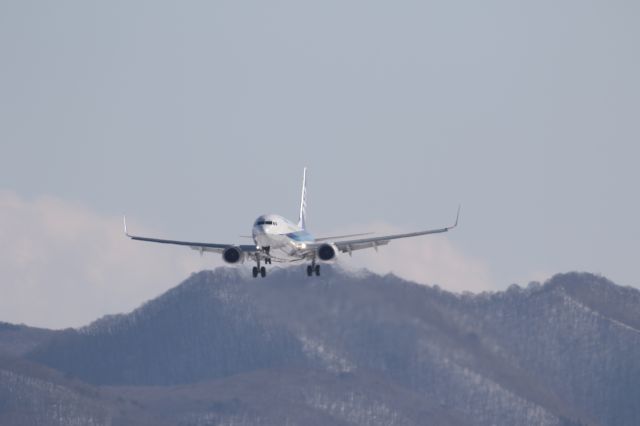 Boeing 737-800 (JA60AN) - 07 February 2016:ITM-HKD.