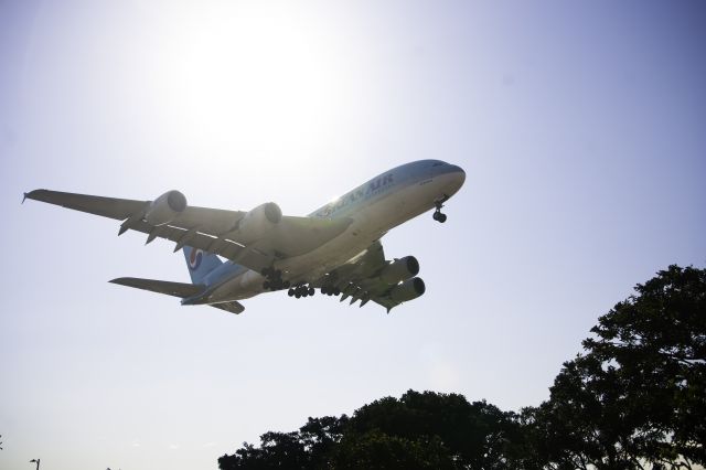 Airbus A380-800 (HL7613)