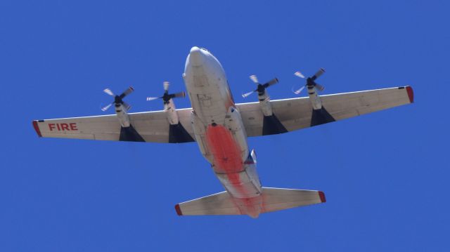 Lockheed C-130 Hercules (N130FF) - Tanker 131 working hard (look at that undercarriage) on the "Apple Fire" flying out of KSBD. (8-6-2020)