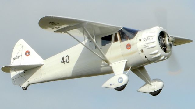 N273Y —