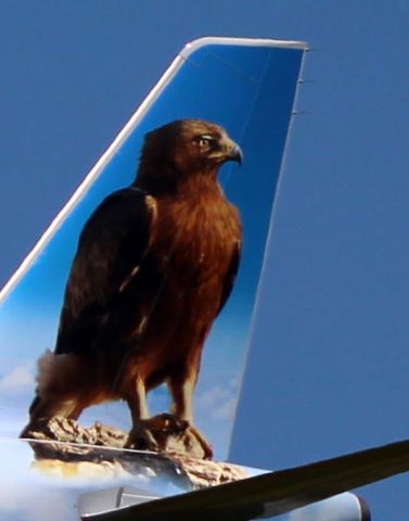 Airbus A321 (N723FR) - Perched on the tail of this on final 2018 Frontier Airlines Airbus 321-211 is "Gordon" the Golden Eagle from the Spring of 2021.br /Posted July 4th 2021.