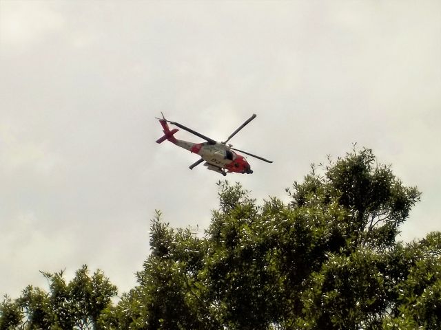 — — - Coast Guard helicopter doing training from MacDill Air Force Base flew right over my head.