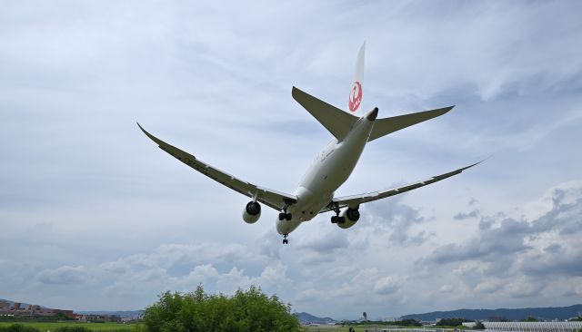 Boeing 787-8 (JA846J) - 24.Jul.2024br /On the Senri River riverbed at Osaka (Itami) International Airport.br /Japan Airlines Boeing 787-8 Dreamliner(JA846J).br /Photographed with a wide-angle lens against the backdrop of a summer sky.br /Trimming.