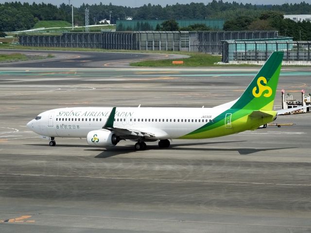 Boeing 737-800 (JA03GR)