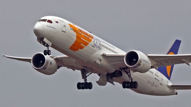 Boeing 787-9 Dreamliner (EI-MGL) - Flight Paris-Orly/ Nantes. President visit Museum Gengis Khan..
