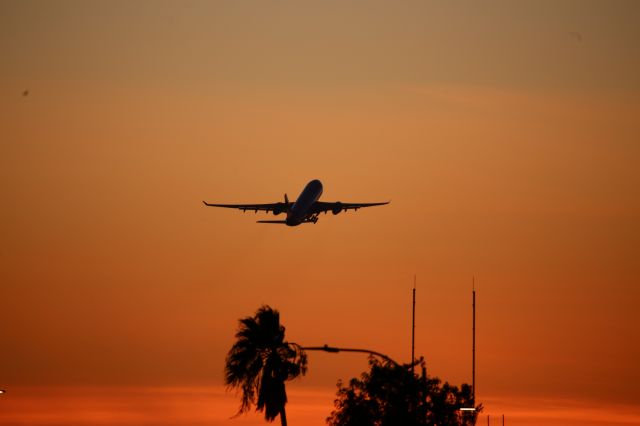 Airbus A330-200 (N378HA)