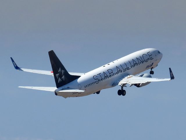 Boeing 737-800 (JA51AN)