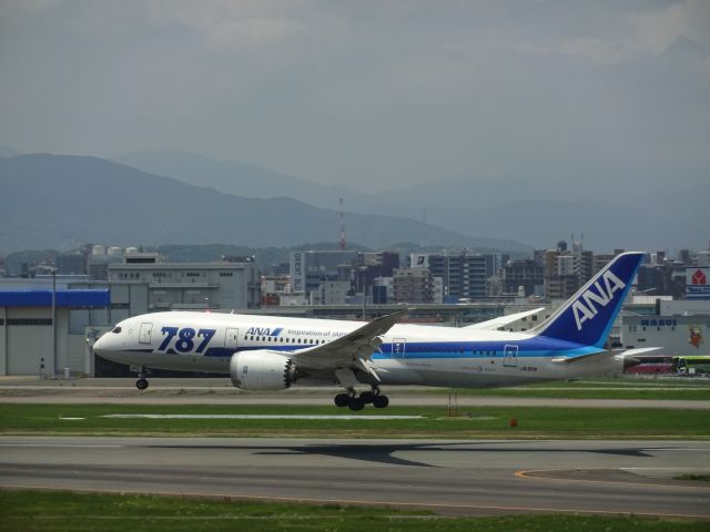 Boeing 787-8 (JA811A) - 福岡空港第2ビル展望デッキ