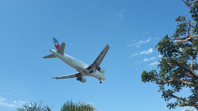 Airbus A319 (C-FYJI) - FINAL APPROACH 24R