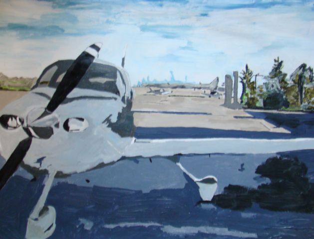 Cirrus SR-20 (N212CB) - Cirrus. Painting by Kiki Winchester, aviation artist.