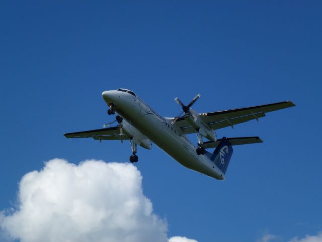 de Havilland Dash 8-300 (ZK-NET)