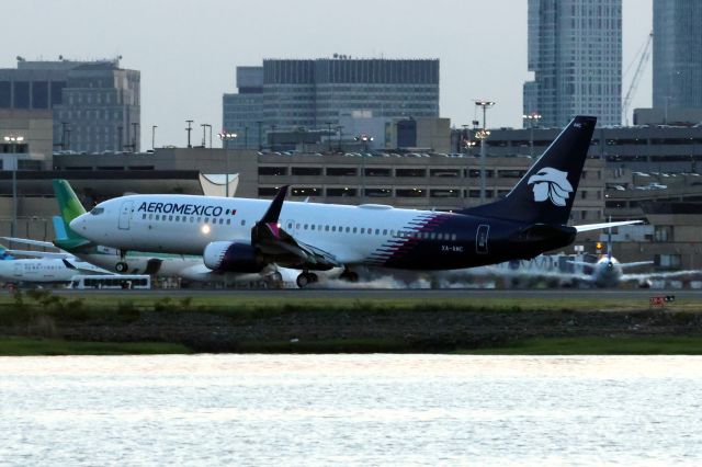Boeing 737-800 (XA-AMC)