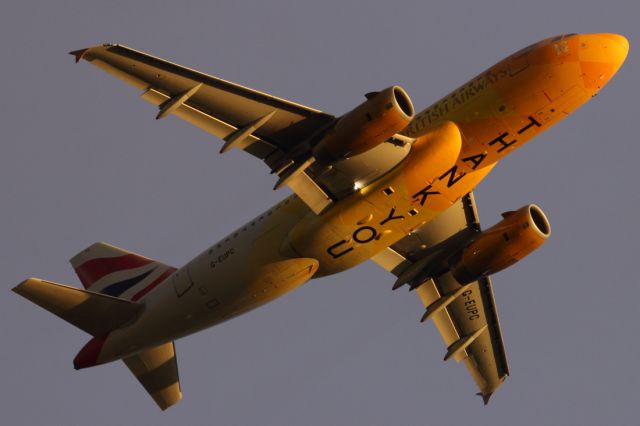 — — - British Airways A320-200 dubbed Firefly was responsible for flying the Olympic flame from the Greece to the U.K. This same aircraft was then painted with a big thank you on the bottom an performed a fly over of Buck Palace at the end of the Olympic and Paralympic Medal procession.