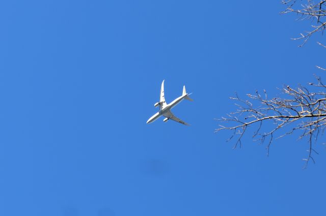 Boeing 787-9 Dreamliner (B-7879)