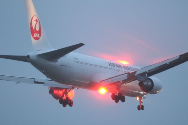 BOEING 767-300 (JA8976) - 14 July 2016:HND-HKD.