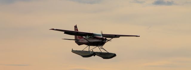 — — - Cessna 206 coming in.