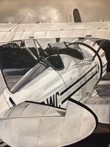 WACO O (N789WC) - Painting of the Flying Gato by Spanish painter - Jose Maria Corral