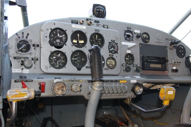 N137LZ —