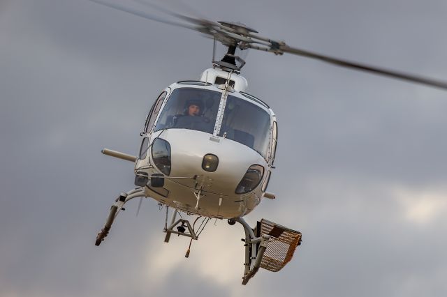 Eurocopter AS-350 AStar (VH-LGG)
