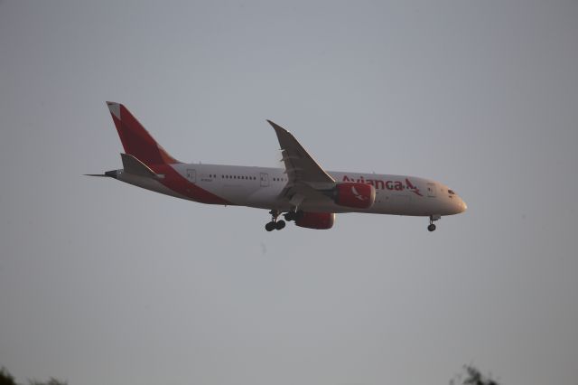 Boeing 787-8 (N780AV)