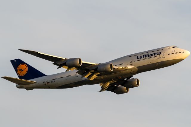 BOEING 747-8 (D-ABYN) - hot evening sun