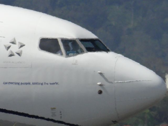N17309 —