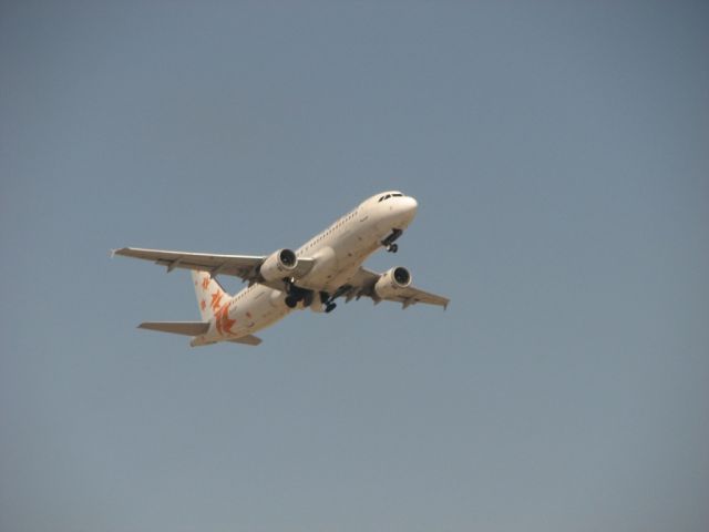 Airbus A320 (YOSSISHO)