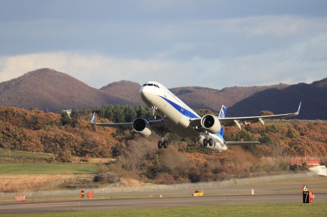 Airbus A321 (JA136A) - November 6th 2019:HKD-HND.