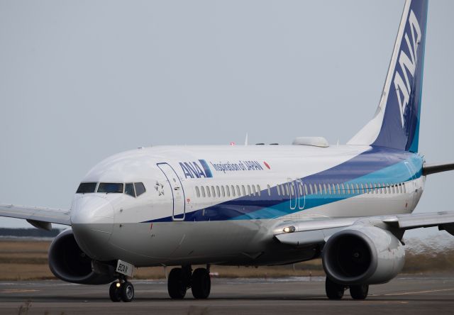 Boeing 737-800 (JA80AN)