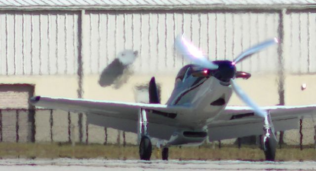 PAPA 51 Thunder Mustang (N58EE) - TURBINE-powered Thunder-Mustang landing Runway 23 at Spruce Creek. Walter M601D engine: Both intake and exhaust(bottom front) are visible in photo. Please excuse the heat shimmer of a warm, humid day in Florida. ... Registration number changed in 2015 to N2JP, Serial #EITM020.