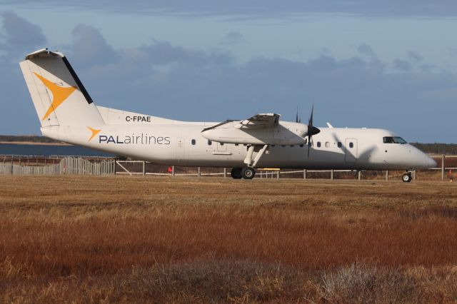 de Havilland Dash 8-300 (C-FPAE) - 31/03/2024