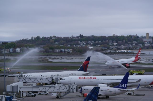 Airbus A330-200 (D-ALPA)