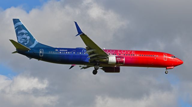 Boeing 737-900 (N493AS) - Alaska Airlines Boeing 737-900ER (N493AS) "More to Love" arrives KRDU Rwy 23R on 7/09/2023 at 6:00 pm.