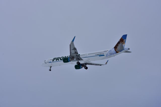 Airbus A321 (N718FR) - 11Mar2017: Cali the Lion trying to hide