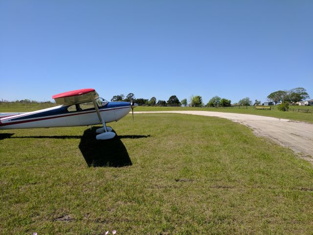 Cessna Skywagon 180 — - Enjoying the beautiful weather waiting on the next flight.