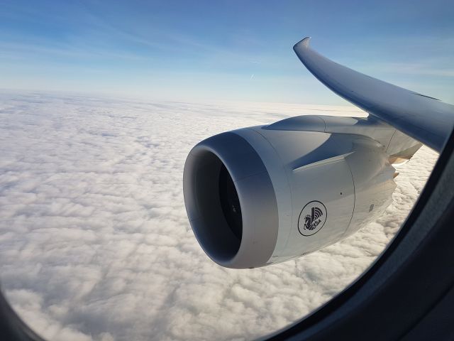 Boeing 787-9 Dreamliner (F-HRBA) - On board le 8-01-17