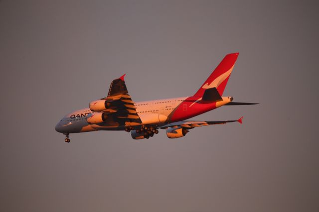 Airbus A380-800 (VH-OQG)