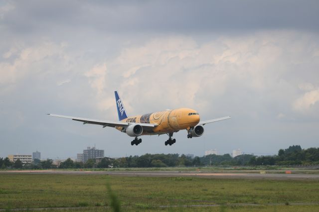 Boeing 777-200 (JA743A) - August 04, 2024:HND-HKD.