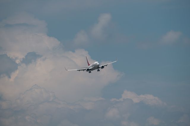 Boeing 737-800 (HL8035)