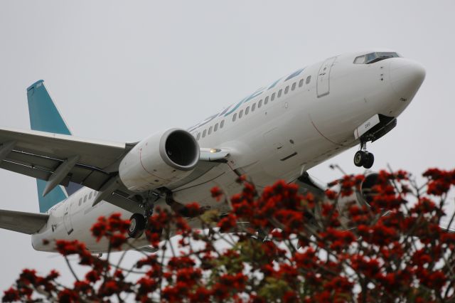 BOEING 737-600 (C-GWSY)